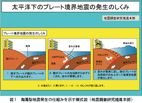 地震本部ニュース 平成23年 2011年 8月号