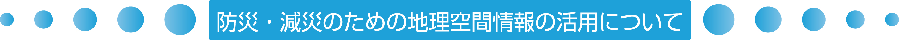 防災・減災のための地理空間情報の活用について