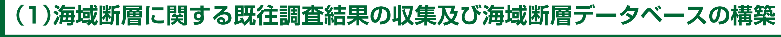 （1）海域断層に関する既往調査結果の収集及び海域断層データベースの構築