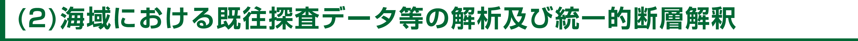 (2)海域における既往探査データ等の解析及び統一的断層解釈