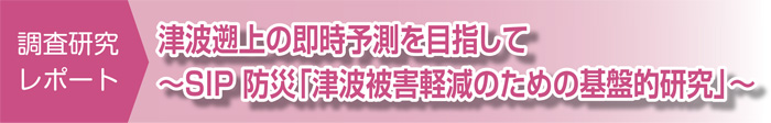 調査研究レポート　津波遡上の即時予測を目指して～SIP 防災「津波被害軽減のための基盤的研究」～