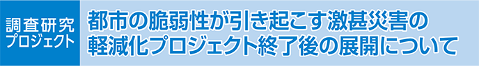 都市の脆弱性が引き起こす激甚災害の軽減化プロジェクト終了後の展開について