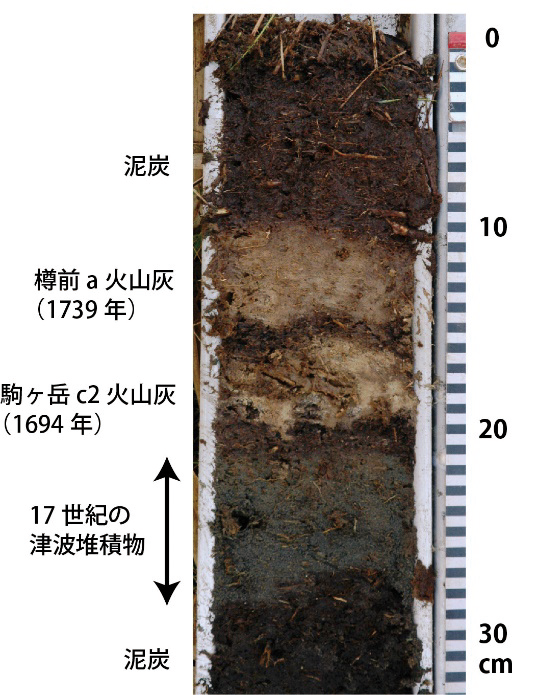 図３　北海道東部で確認された津波堆積物（産業技術総合研究所提供）1694 年の火山灰の下に津波堆積物があり、17 世紀に発生したことが推定される。