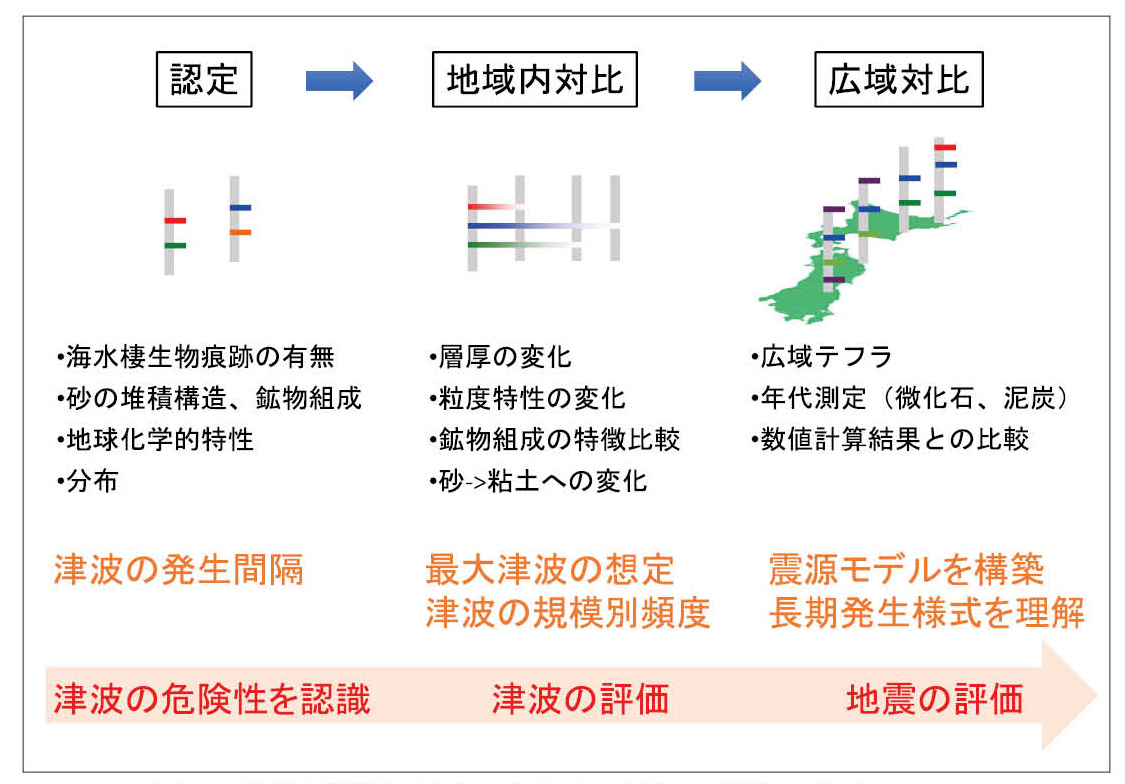 図1　津波堆積物の調査と地震・津波の評価の流れ