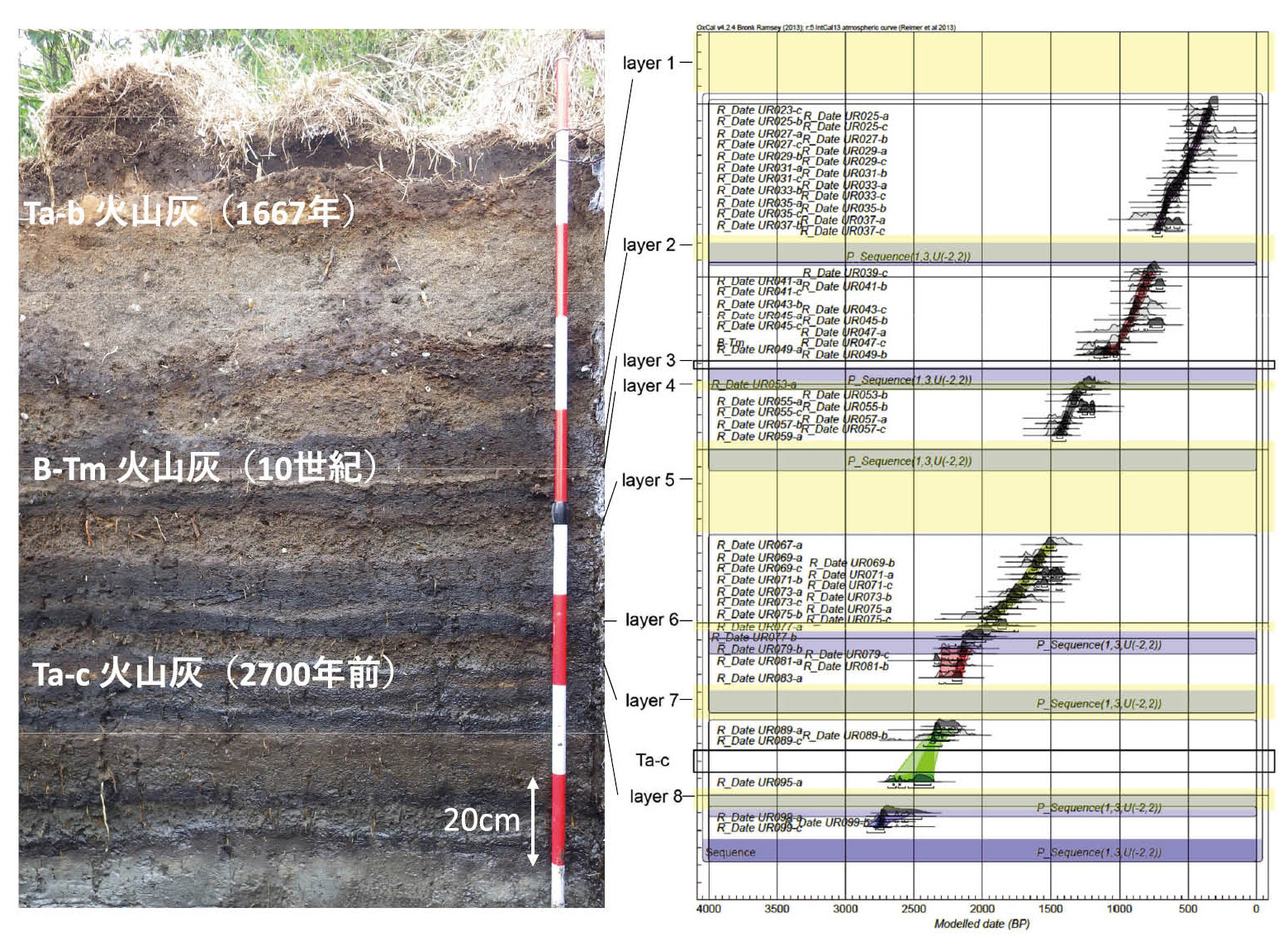図4　 北海道浦幌町のトレンチ壁面（左図）に見られる津波堆積物（layer 1-8）と津波堆積物を挟む泥炭の年代（右図、Ishizawa et al.（2017） J. Geochronology）